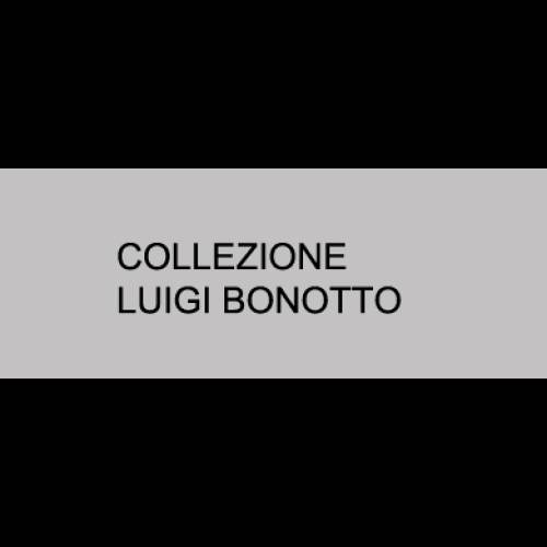 Storia ed evoluzione della Collezione Luigi Bonotto