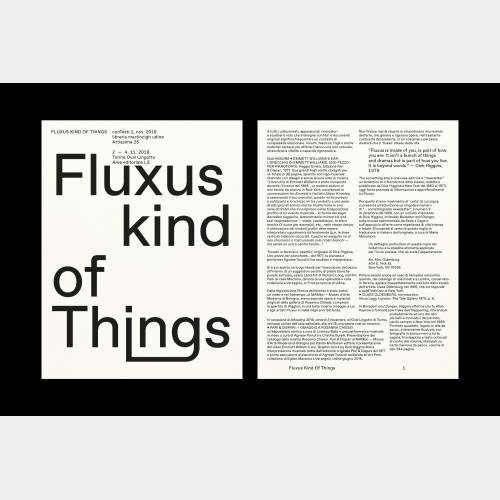 Fluxus kind of things