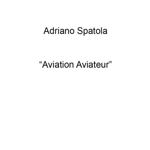 Aviation Aviateur