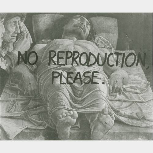 No reproduction, please