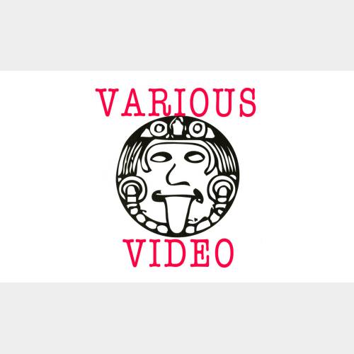 Various Fluxus Artists: Video