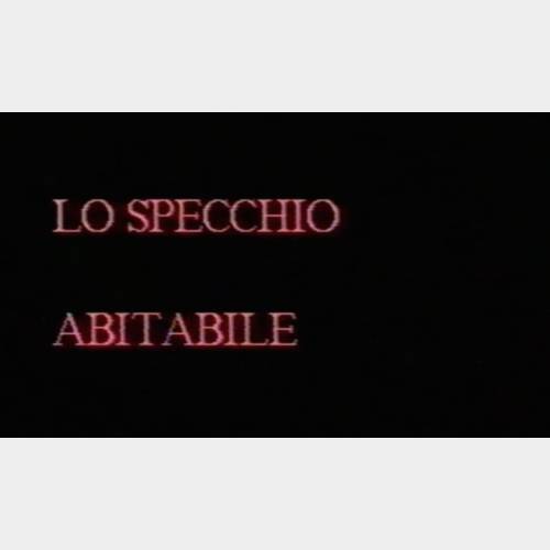 Lo specchio abitabile