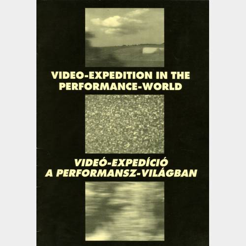 Video-expedition in the performance-world
