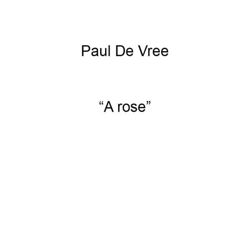 A rose 