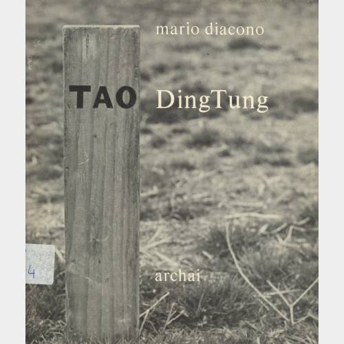 Tao DingTung