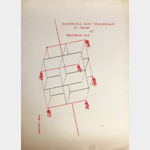 Successful cube tranceplant in honor of chairman mao