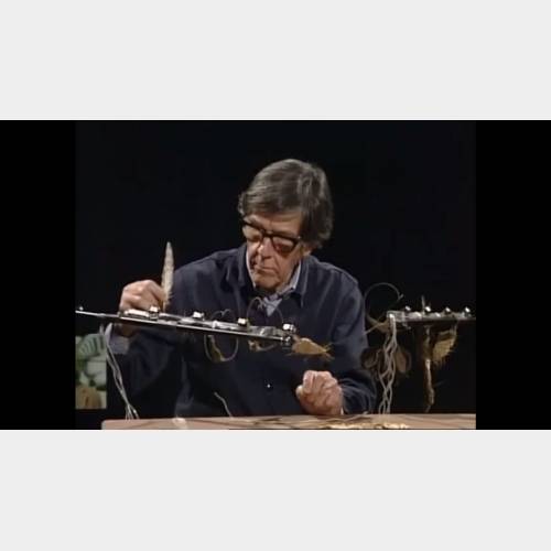 John Cage playing amplified cacti and plant materials
