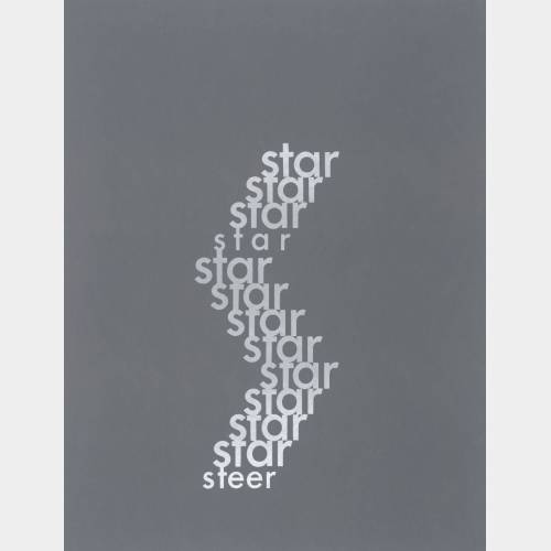 Star/Steer